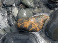 Alaskan Beach Rocks