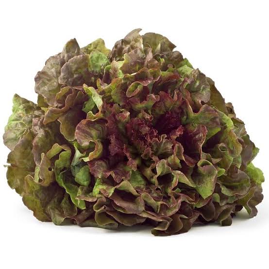 Lettuce - Prizehead