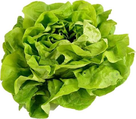 Lettuce - Buttercrunch Head