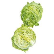 Lettuce - Great Lakes 118