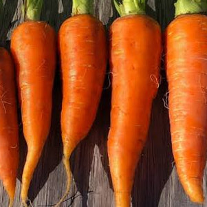 Carrot - Danvers Half Long
