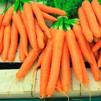 Carrot - Scarlet Nantes