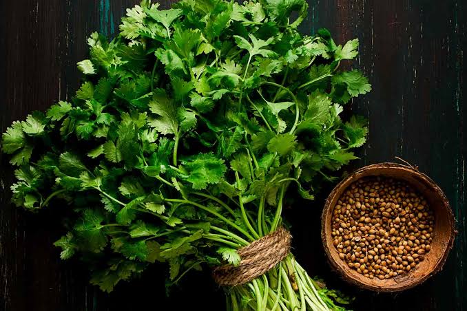 Cilantro/Coriander
