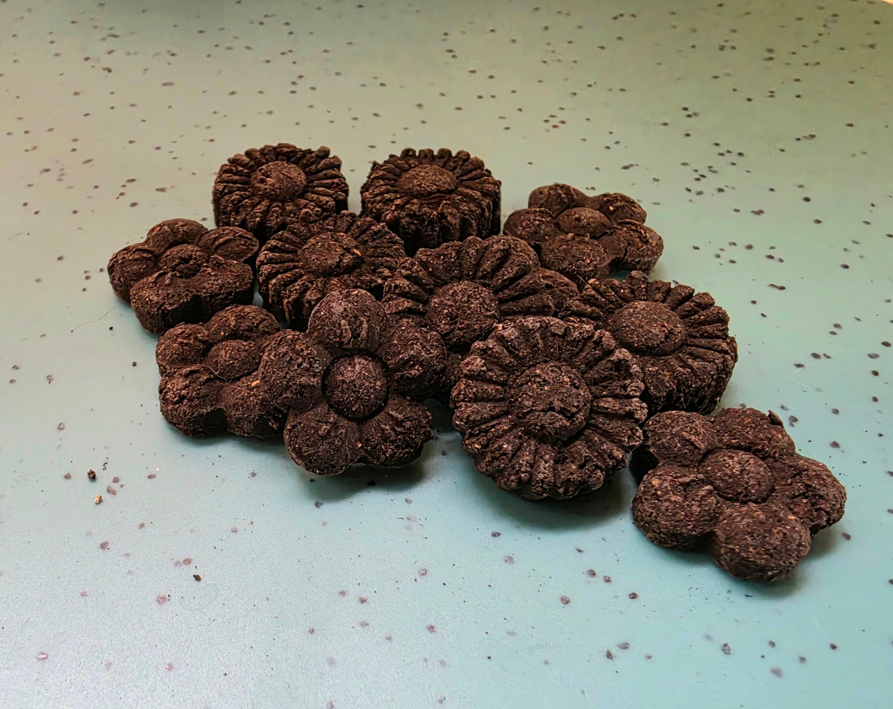 Forget Me Not Seed Bombs