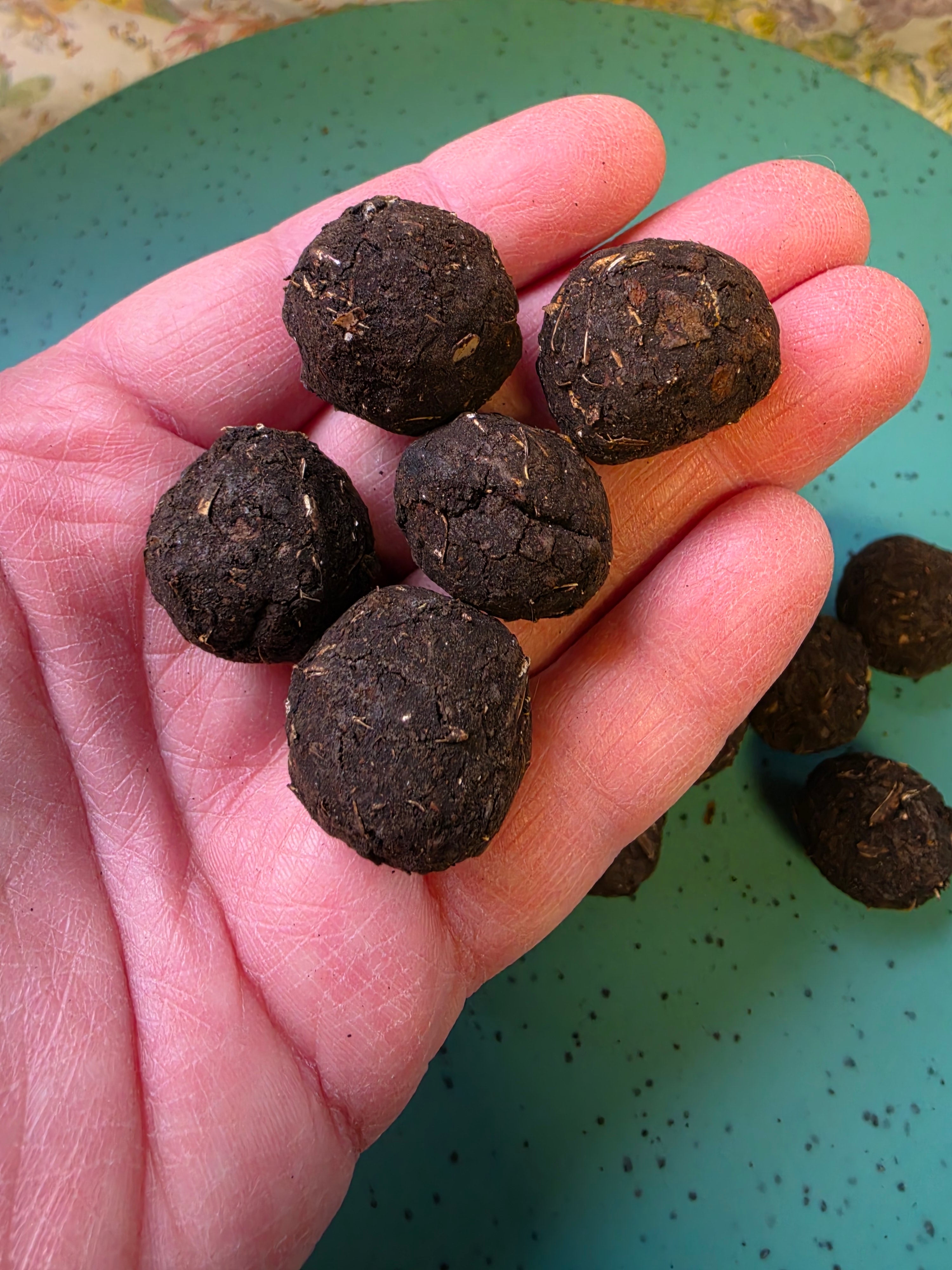 Sunflower Mix Seed Bomb